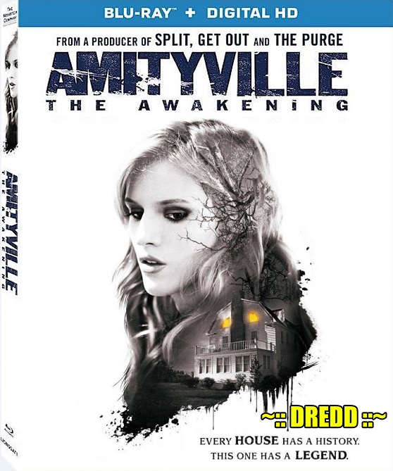 Amityville The Awakening (2017) Dual Audio (Hindi+English) Bluray Download